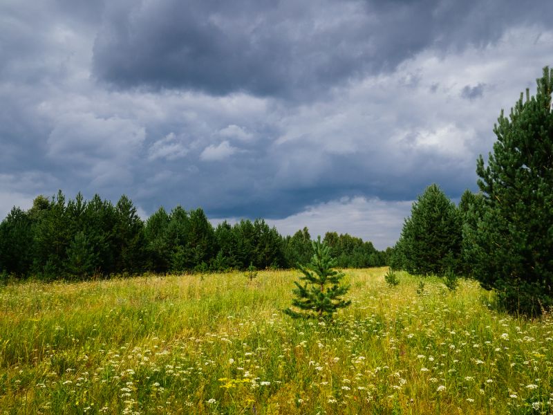 Atlanta, GA